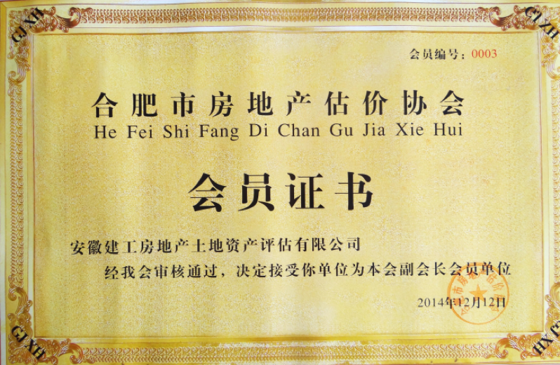 合肥市房地產(chǎn)估價協(xié)會副會長單位